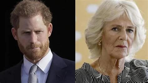 camilla leaks|Prince Harry accuses Camilla of ‘dangerous’ leaks to。